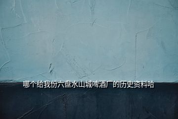 哪个给我份六盘水山城啤酒厂的历史资料哈