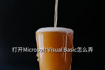 打开Microsoft Visual Basic怎么弄