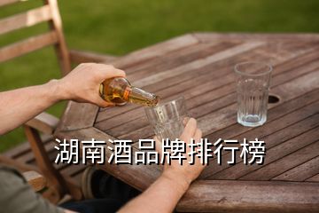 湖南酒品牌排行榜