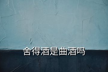 舍得酒是曲酒吗