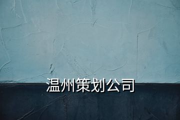 温州策划公司