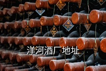 洋河酒厂地址