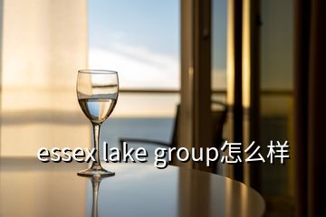 essex lake group怎么样