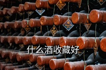 什么酒收藏好