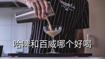 哈啤和百威哪个好喝