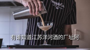 有谁知道江苏洋河酒的厂址阿