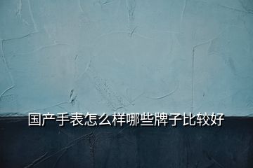 国产手表怎么样哪些牌子比较好