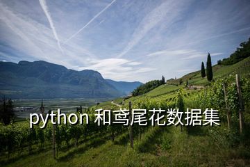 python 和鸢尾花数据集