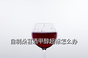 自制桑葚酒甲醇超标怎么办