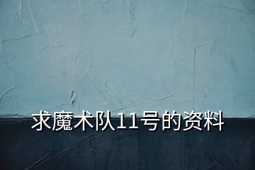 求魔术队11号的资料