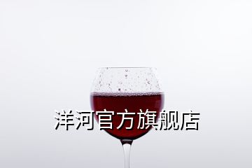 洋河官方旗舰店