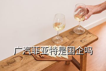 广汽菲亚特是国企吗