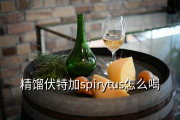 精馏伏特加spirytus怎么喝