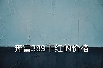 奔富389干红的价格