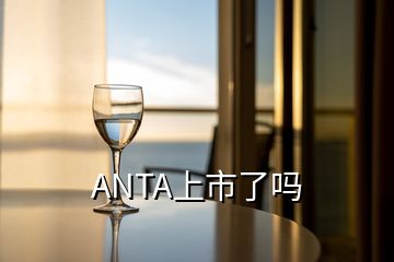 ANTA上市了吗