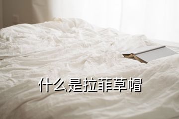 什么是拉菲草帽