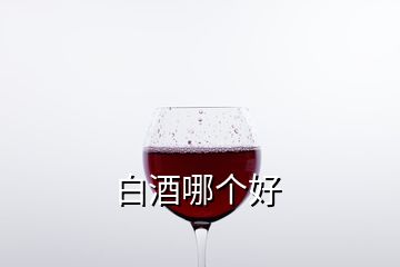 白酒哪个好