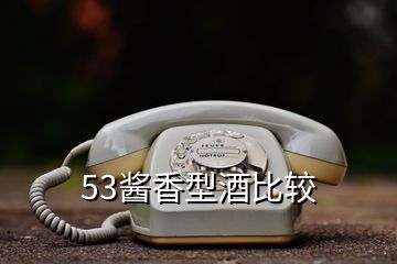 53酱香型酒比较