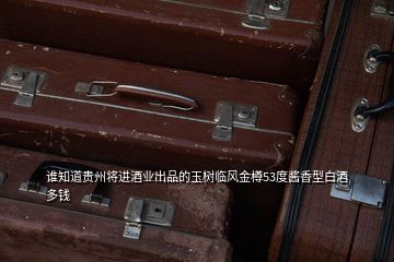 谁知道贵州将进酒业出品的玉树临风金樽53度酱香型白酒多钱