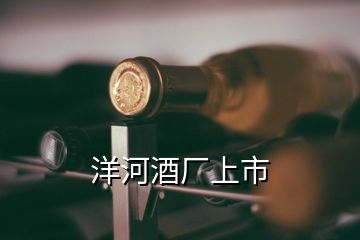 洋河酒厂上市