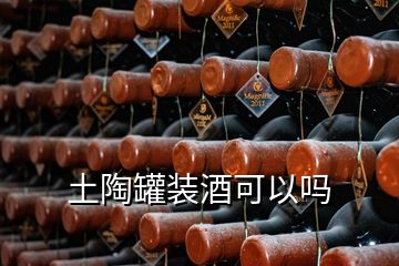 土陶罐装酒可以吗