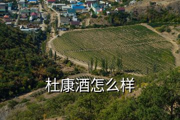 杜康酒怎么样