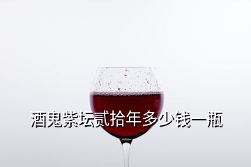 酒鬼紫坛贰拾年多少钱一瓶