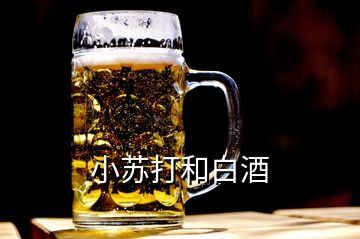 小苏打和白酒