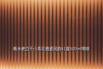 衡水老白干小青花雅瓷风韵41度500ml喝啥