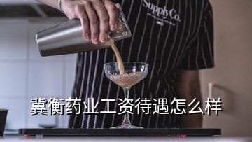 冀衡药业工资待遇怎么样