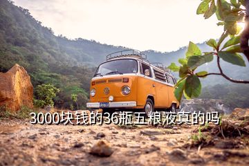 3000块钱的36瓶五粮液真的吗