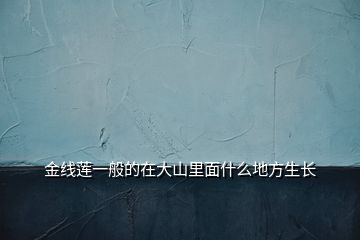 金线莲一般的在大山里面什么地方生长