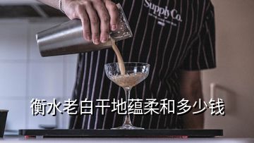 衡水老白干地蕴柔和多少钱