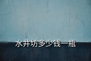 水井坊多少钱一瓶