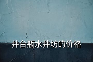 井台瓶水井坊的价格