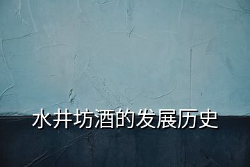 水井坊酒的发展历史