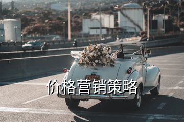 价格营销策略