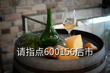 请指点600156后市