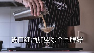 进口红酒加盟哪个品牌好