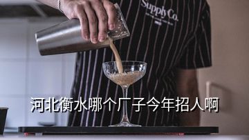 河北衡水哪个厂子今年招人啊