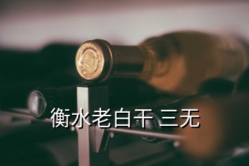 衡水老白干 三无