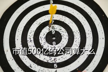 市值500亿的公司算大么