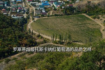 罗塞蒂超级托斯卡纳红葡萄酒的品质怎样