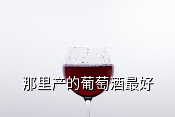 那里产的葡萄酒最好