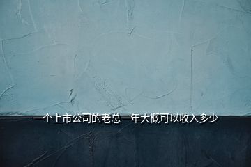 一个上市公司的老总一年大概可以收入多少