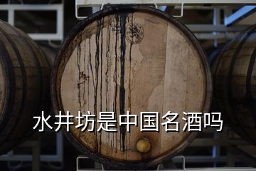 水井坊是中国名酒吗