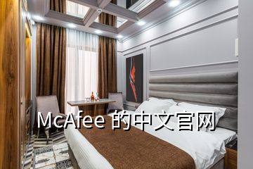 McAfee 的中文官网