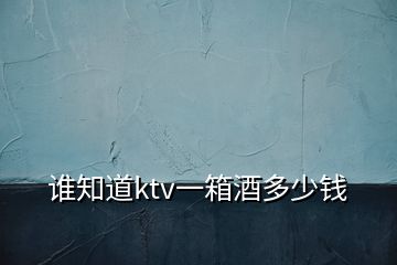 谁知道ktv一箱酒多少钱