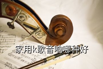 家用k歌音响哪种好