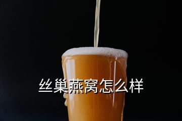 丝巢燕窝怎么样